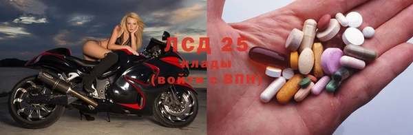 2c-b Бородино