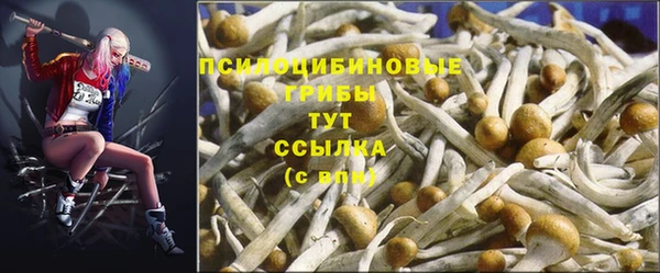 2c-b Бородино