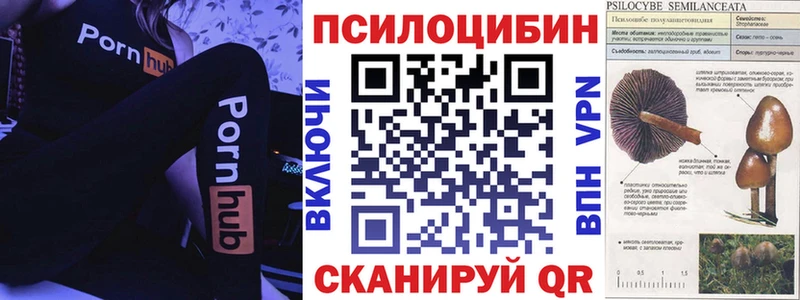 Псилоцибиновые грибы Magic Shrooms  где можно купить   mega ONION  Горнозаводск 